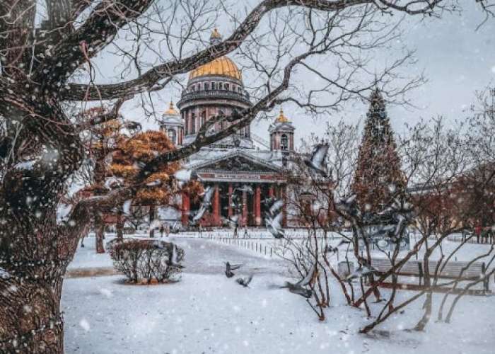 Городской конкурс «Зима в Петербурге»