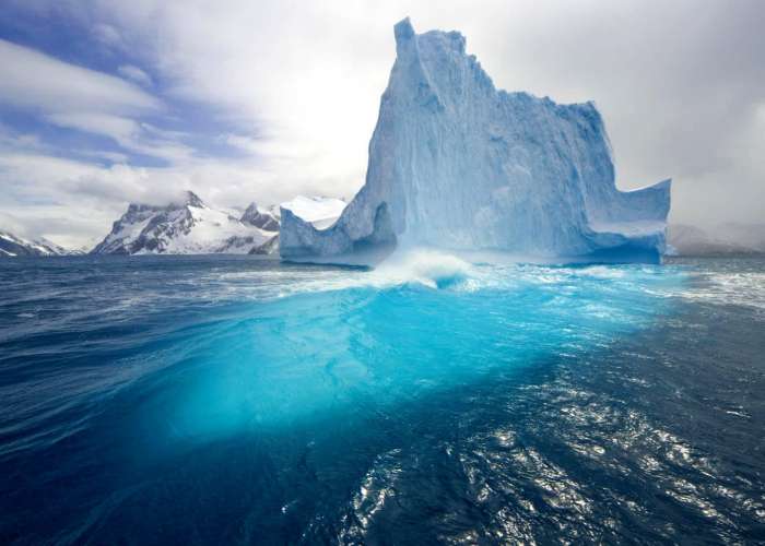 Исследовательский конкурс «Арктика»