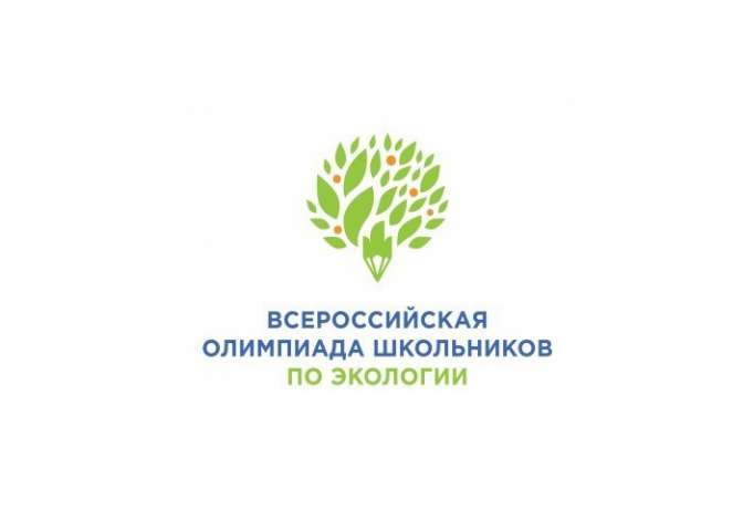 Стали известны результаты районного этапа Всероссийской олимпиады школьников по экологии