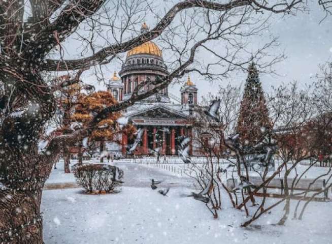 Городской конкурс «Зима в Петербурге»