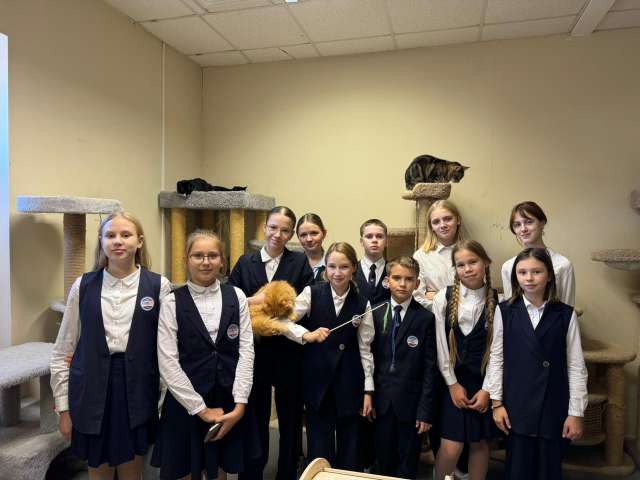 Активисты центра «Лига добра ИТШ» посетили приют для кошек «Тео»