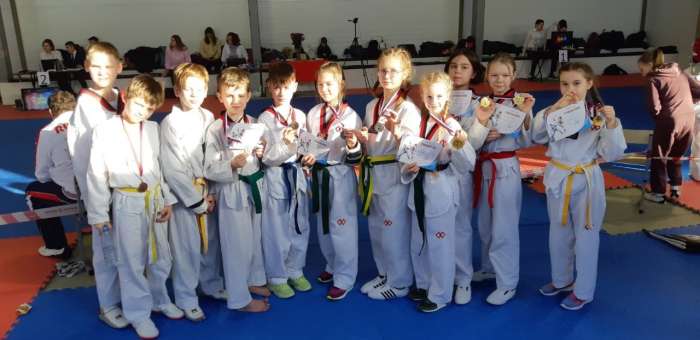 Состоялась модельная спарринговая тренировка по тхэквондо «Кубок Taekwondo-club.ru»